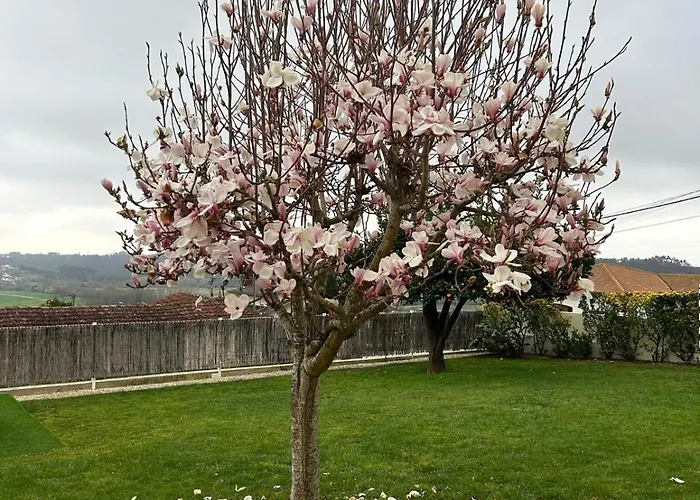 A Casa Da Bela Vista * أفيرو