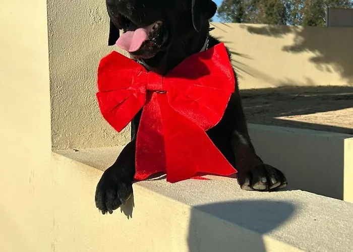 A Casa Da Bela Vista * أفيرو